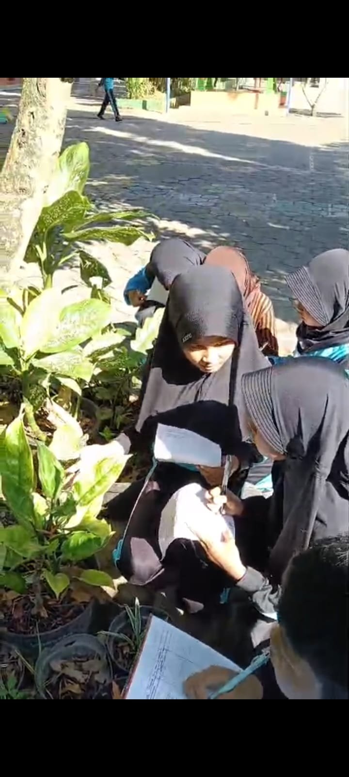 Sahabat Tanaman: Eksplorasi Keanekaragaman Hayati Sekolah